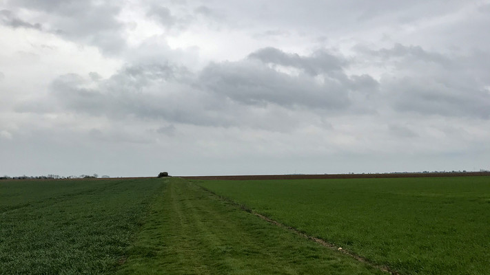 Un chemin enherbé traversant une plaine agricole
