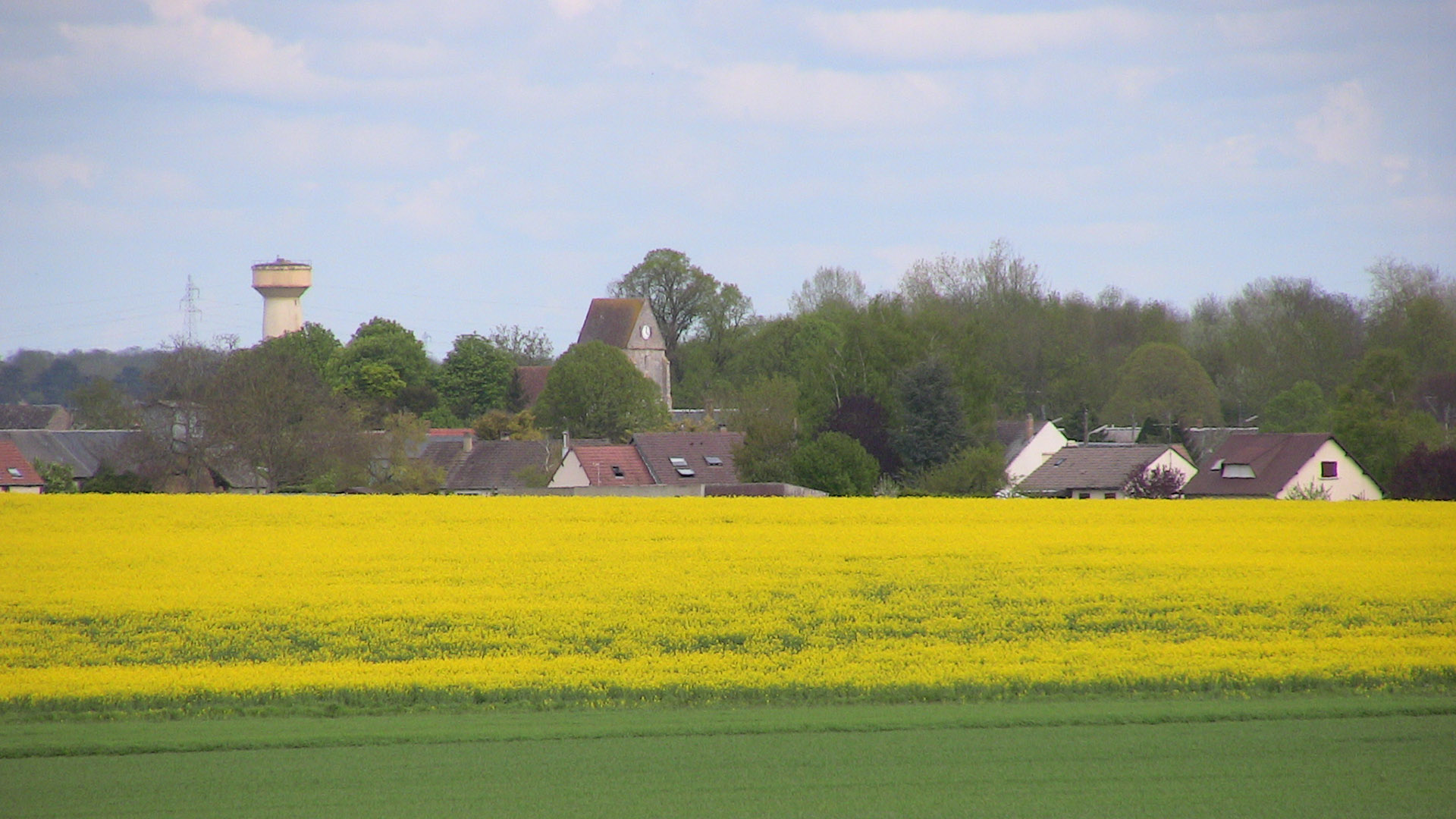 Un champ de la commune de Corancez