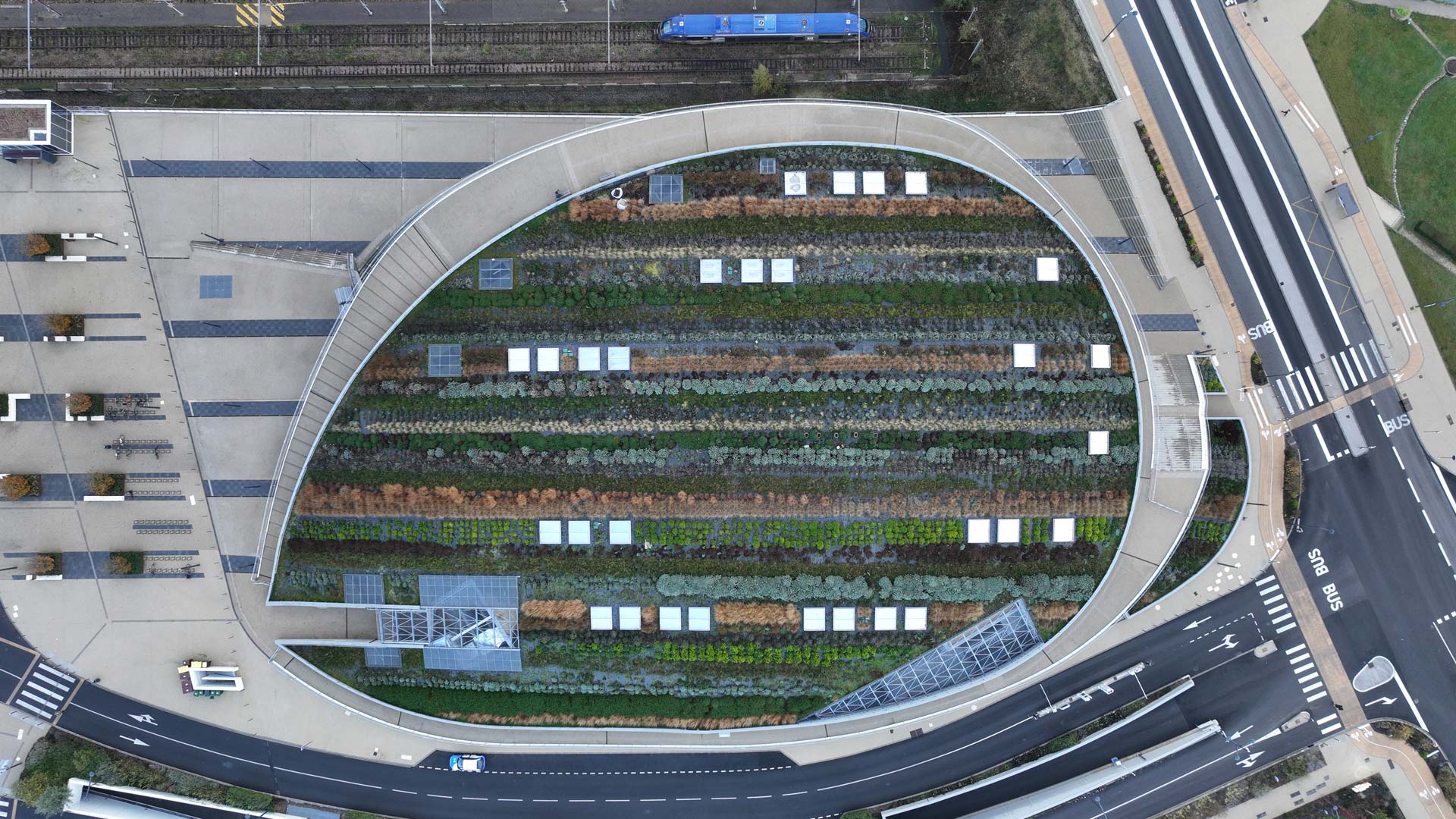 Le Colisée vu du ciel, avec son toit végétalisé