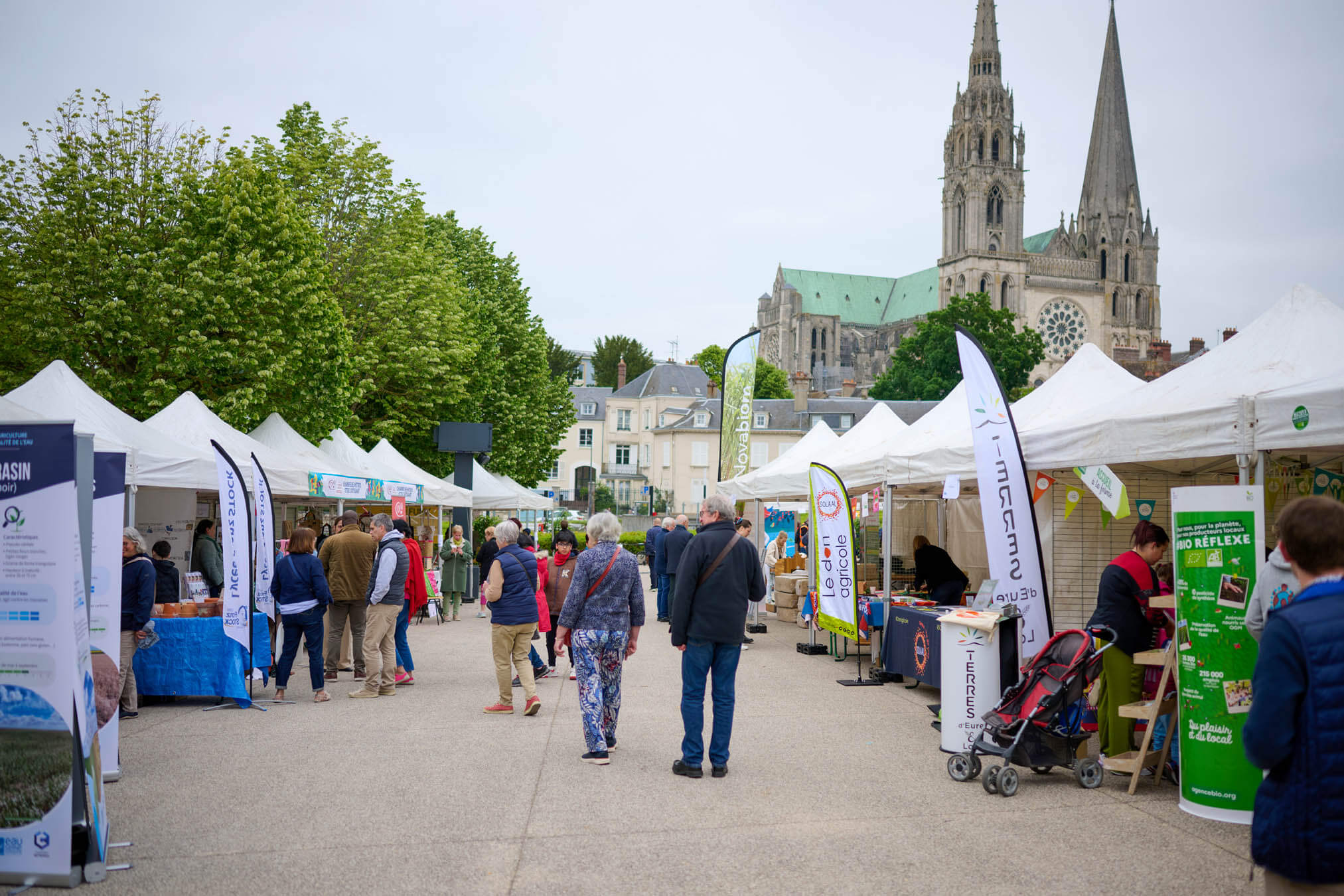 Journée du développement durable du 17 mai 2025