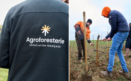 Des agriculteurs pratiquant l'agroforesterie