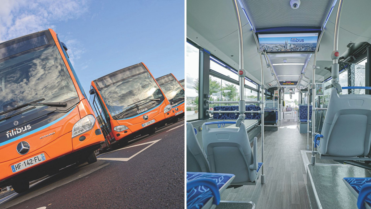 vue extérieure et intérieur des bus C'Pégase