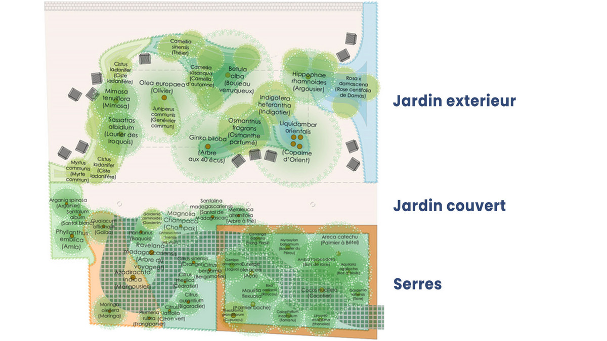 Plan du jardin Cosmétopée de la Maison Internationale de la Cosmétique et ses 3 espaces Plan du jardin Cosmétopée de la Maison Internationale de la Cosmétique et ses 3 espaces
