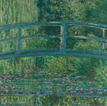 Les Nymphéas de Claude Monet au musée des Beaux-Arts