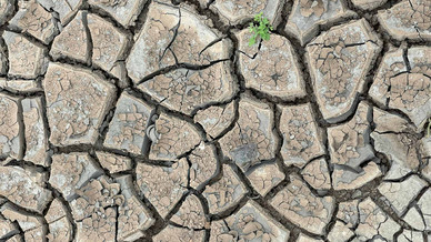 Terre craquelée par la sécheresse