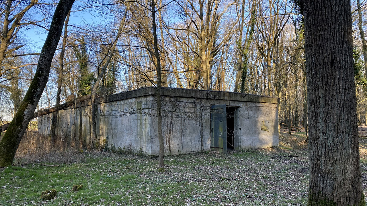 Un bunker allemand dans une fôret