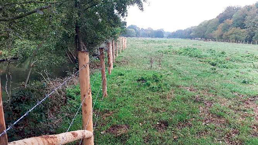 Plan vert : clôture à Champhol le long de la rivière